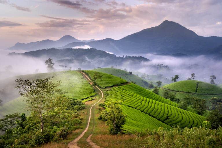 Road Among Field on Hill